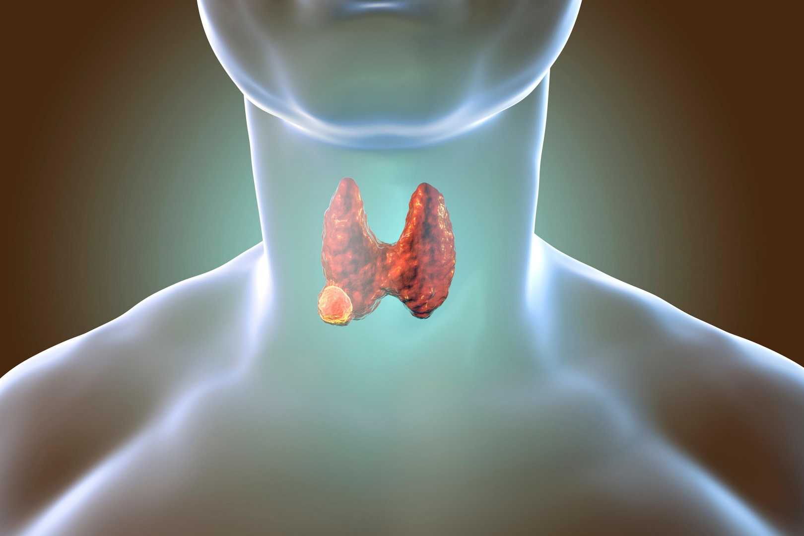 Medicina Interna Endocrinología